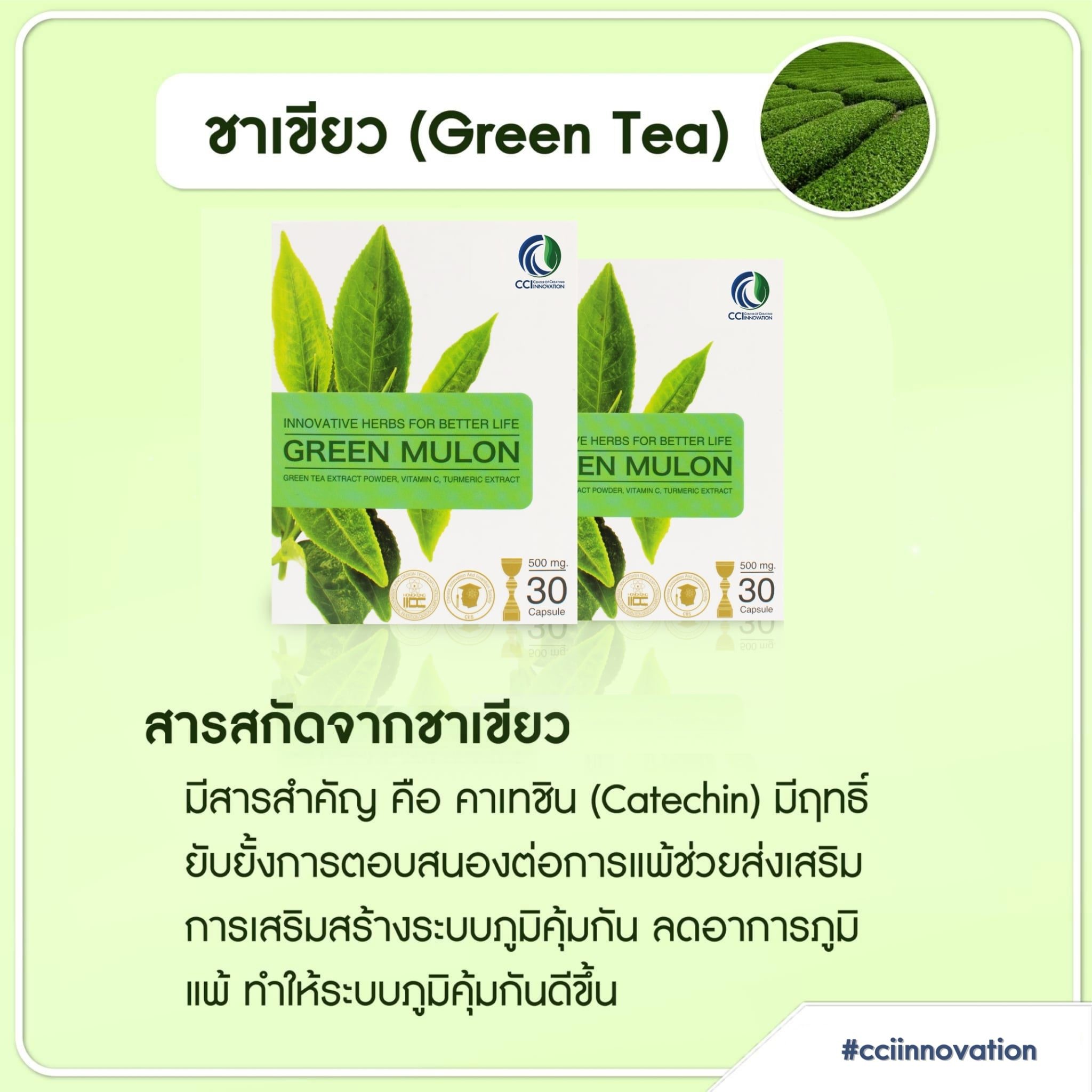 162528592 243064480863031 7569751677816252012 o cci