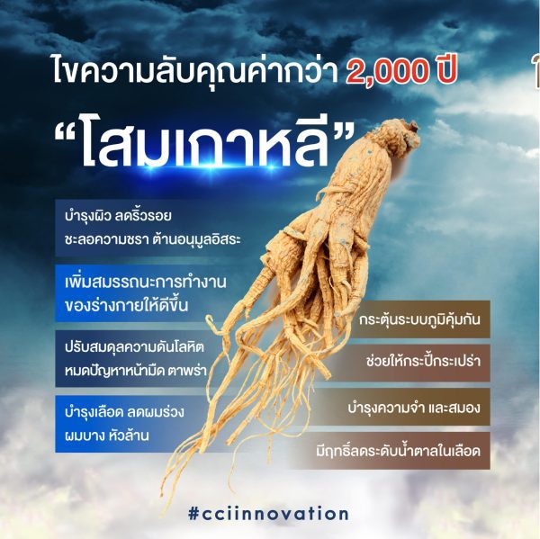 aw47 01 01 scaled cci