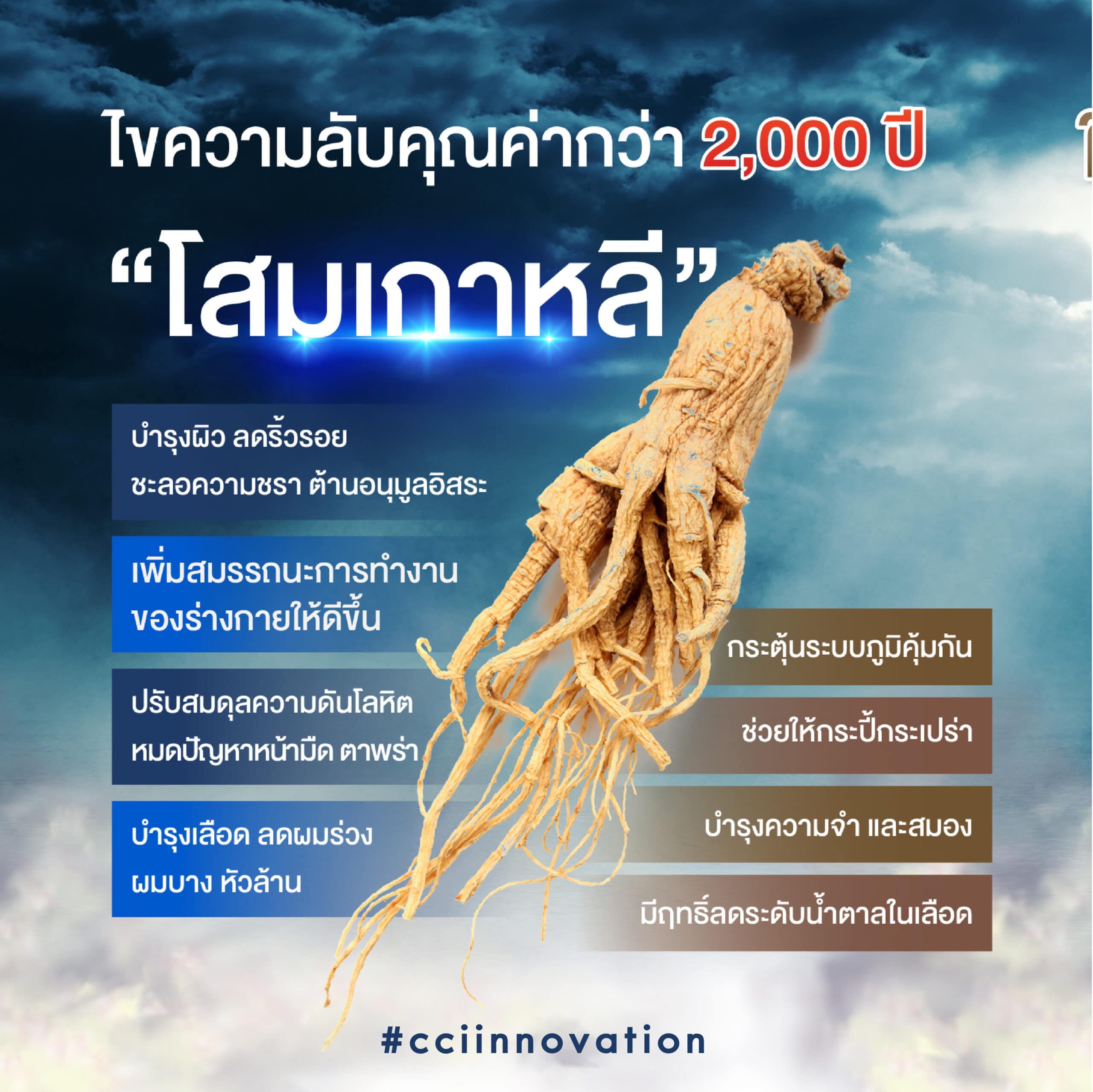 aw47 01 01 scaled cci