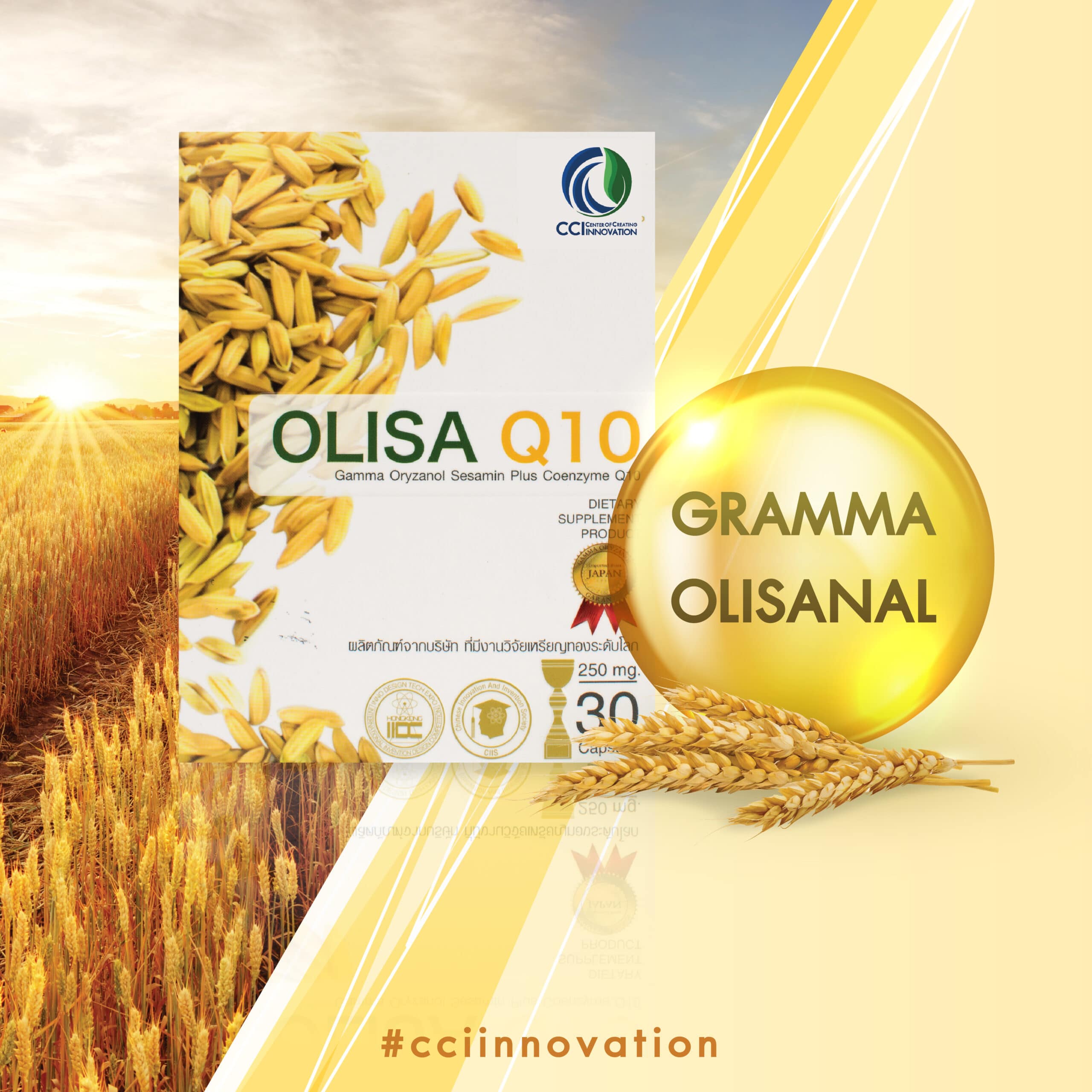 aw olisa2 01 scaled cci