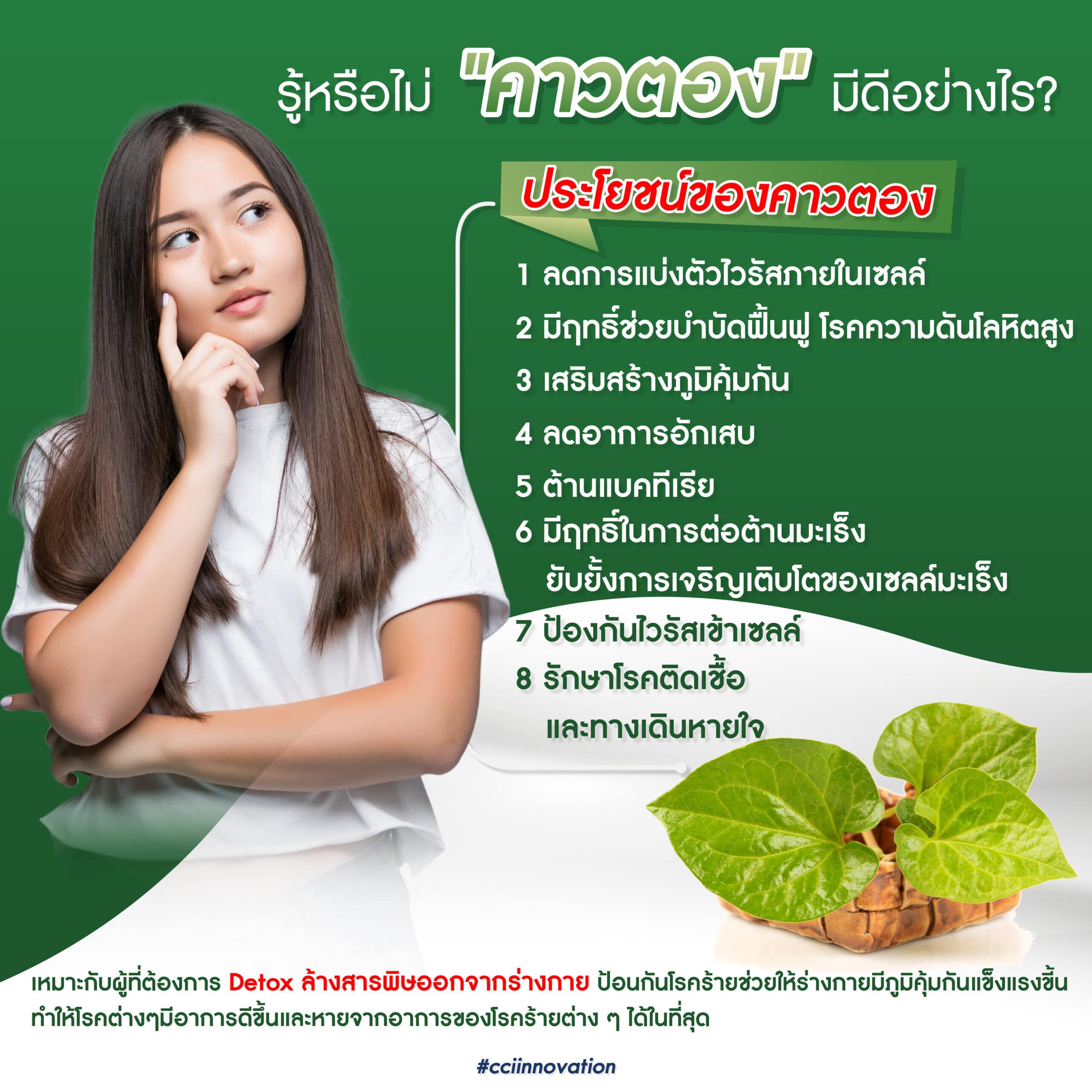 รู้หรือไม่ คาวตอง มีดีอย่างไร 01 scaled cci