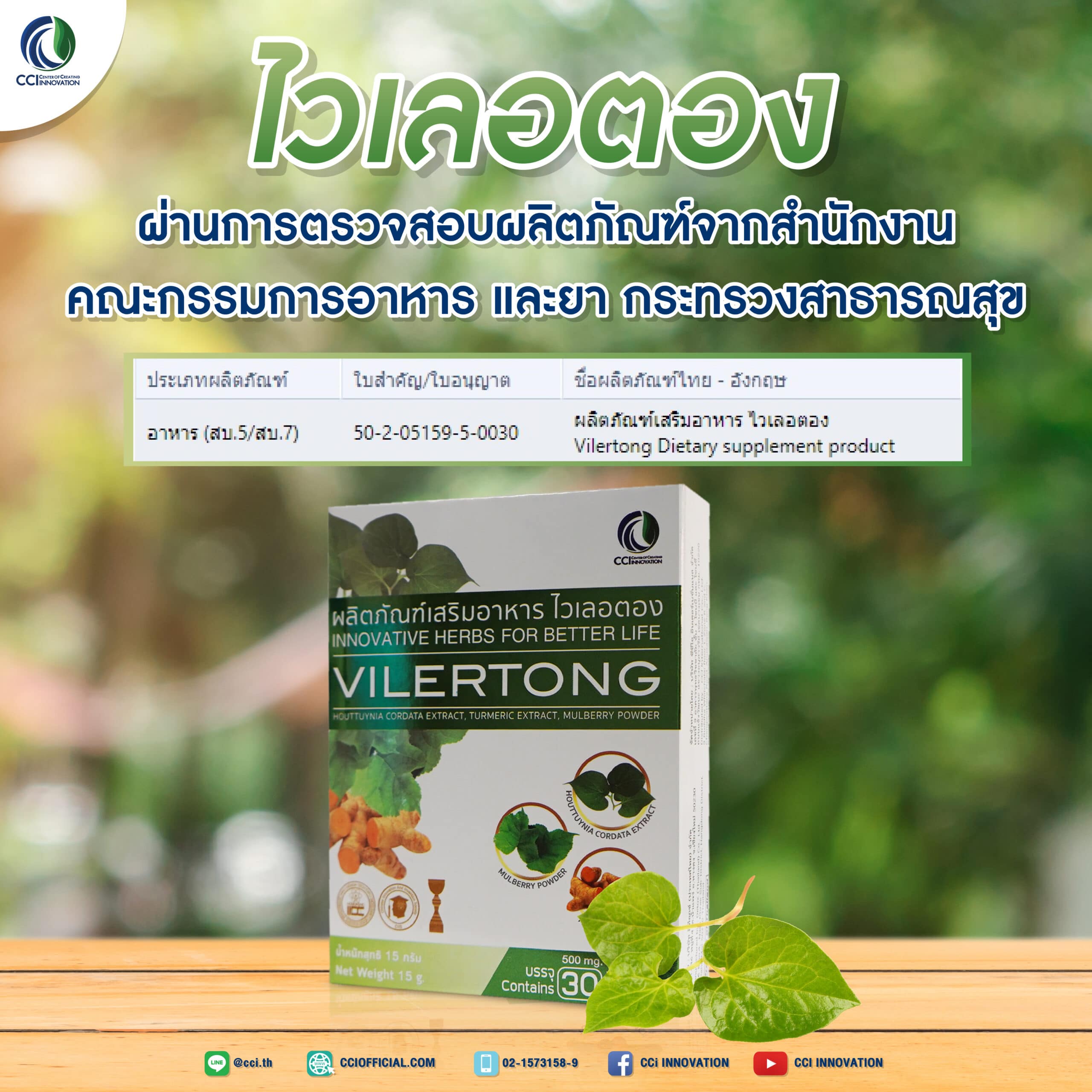 อย 01 scaled cci