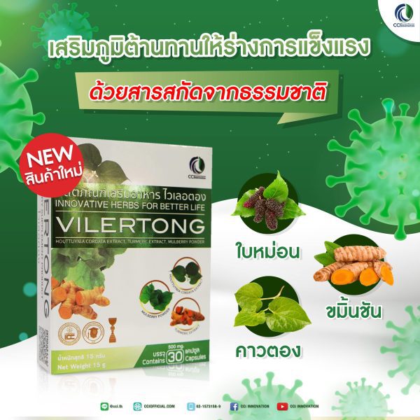 เสริมภูมิต้านทานให้ร่างการแข็งแรงv2 01 scaled cci