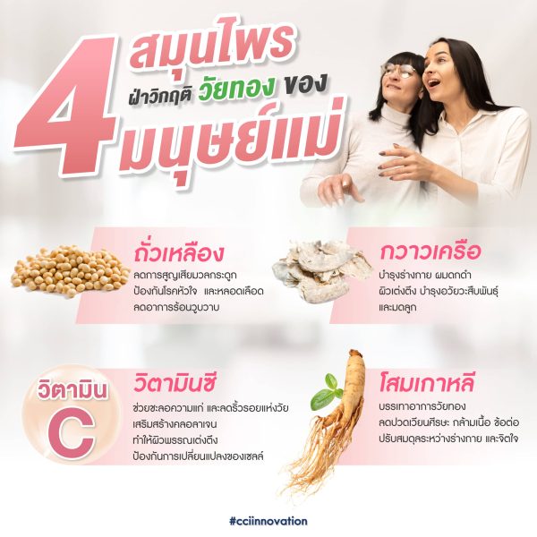 Greenpurra Plus01 scaled cci