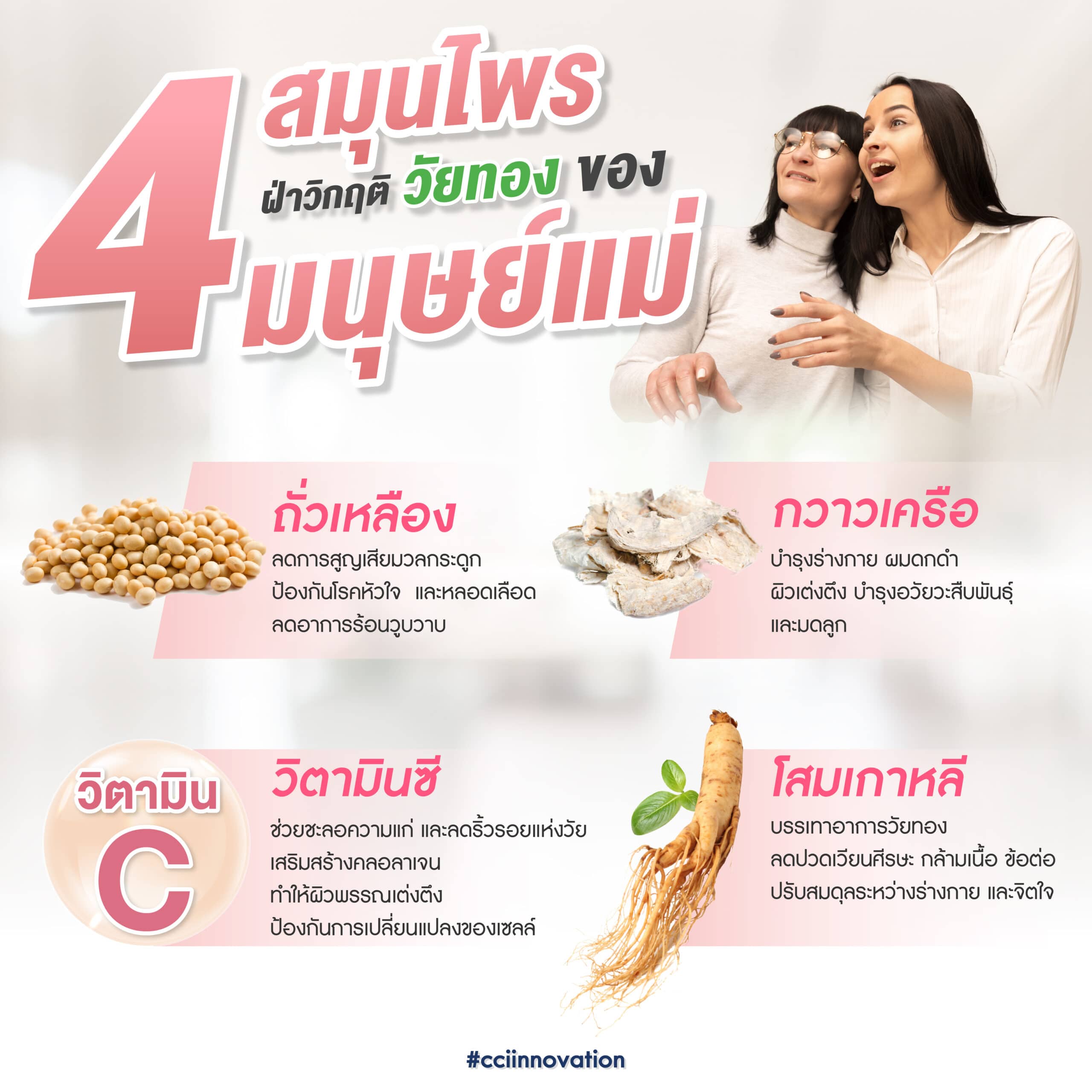 Greenpurra Plus01 scaled cci