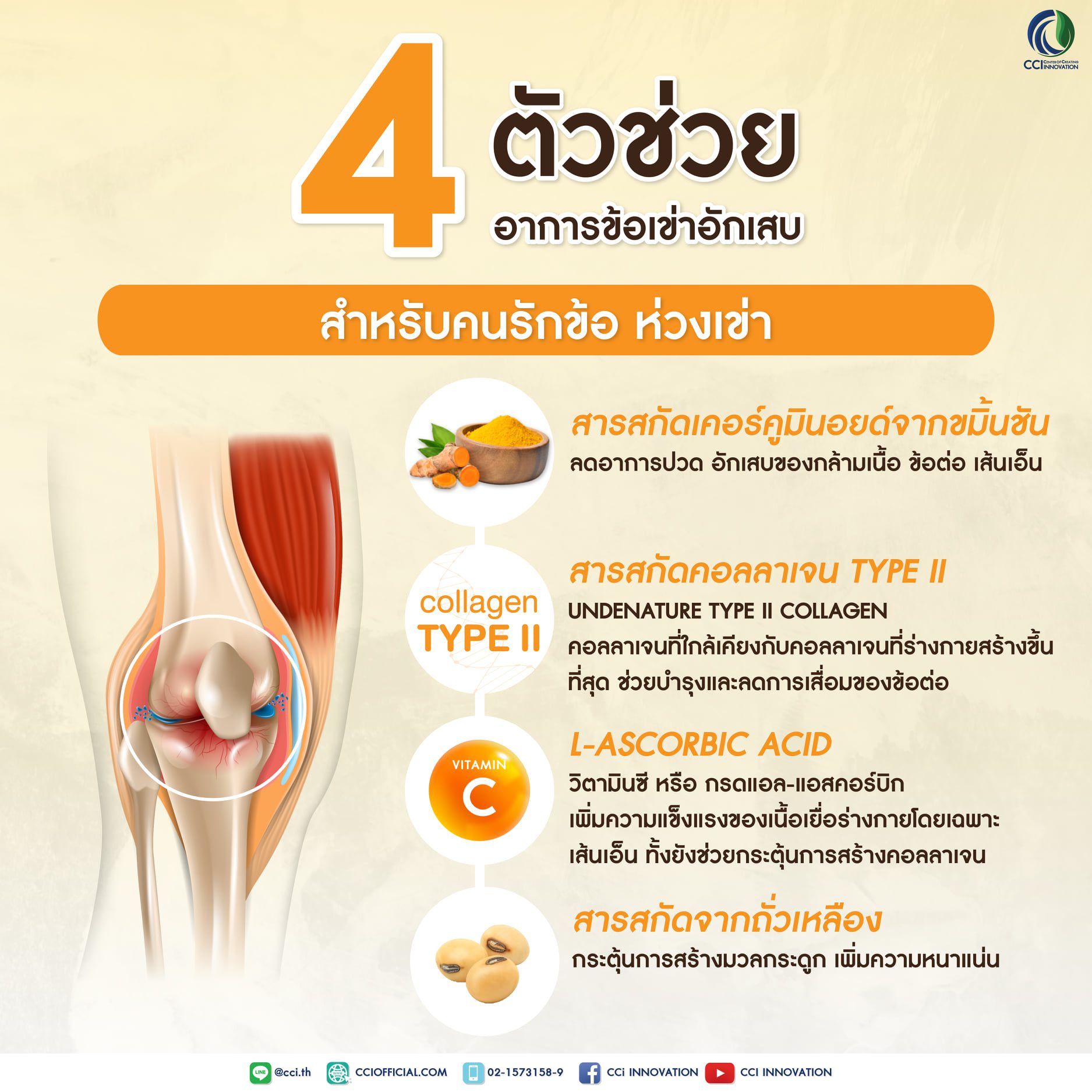 146478731 889120265174769 3499033438633900189 o cci