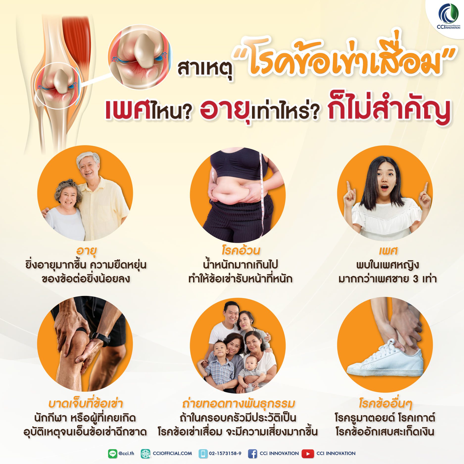 147266329 889120311841431 1437630006311901639 o cci