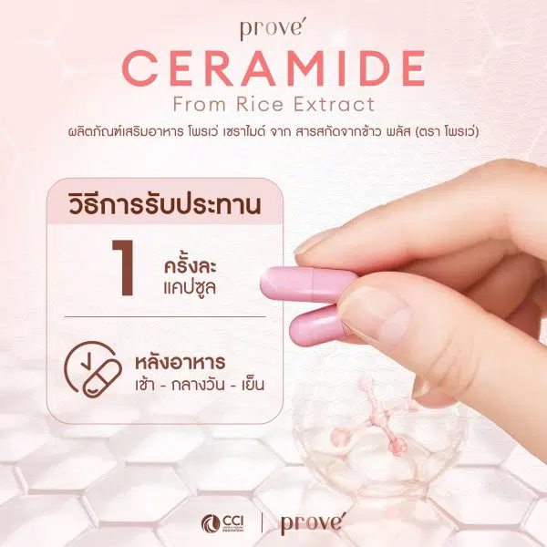 LINE ALBUM AW Ceramide ๒๔๐๑๒๓ 1 cci