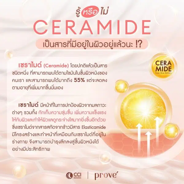 LINE ALBUM AW Ceramide ๒๔๐๑๒๔ 1 cci