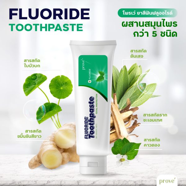 provetoothpasteสารสกัด 01 scaled cci