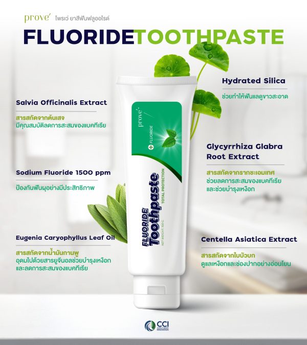 โพรเว่ ยาสีฟันฟลูออไรด์ 01 0 scaled cci